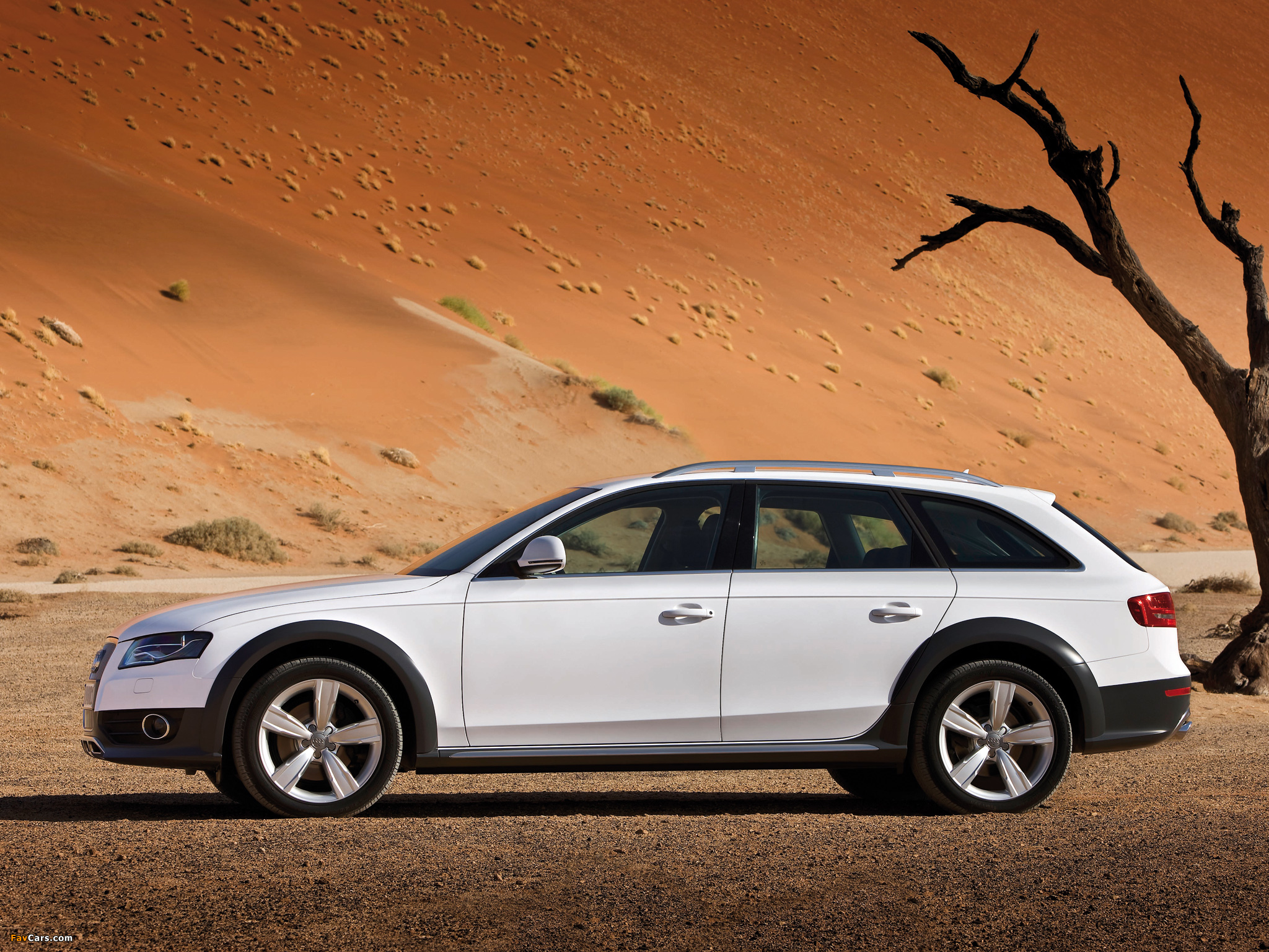 Audi A4 allroad quattro/Standaufnahme